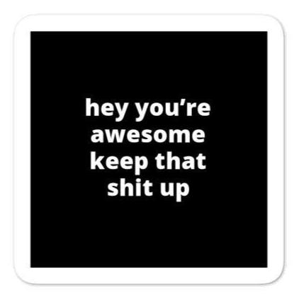 2x2” Quote Stickers (4) - Hey You’re Awesome Keep That Sh* Up