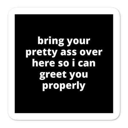 2x2” Quote Stickers (4) - Bring Your Pretty A* Over Here So I Can Greet You Properly