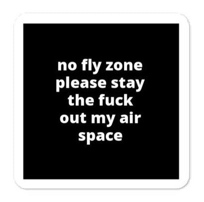 2x2” Quote Stickers (4) - No Fly Zone Please Stay The F* Out My Air Space - J. Cole